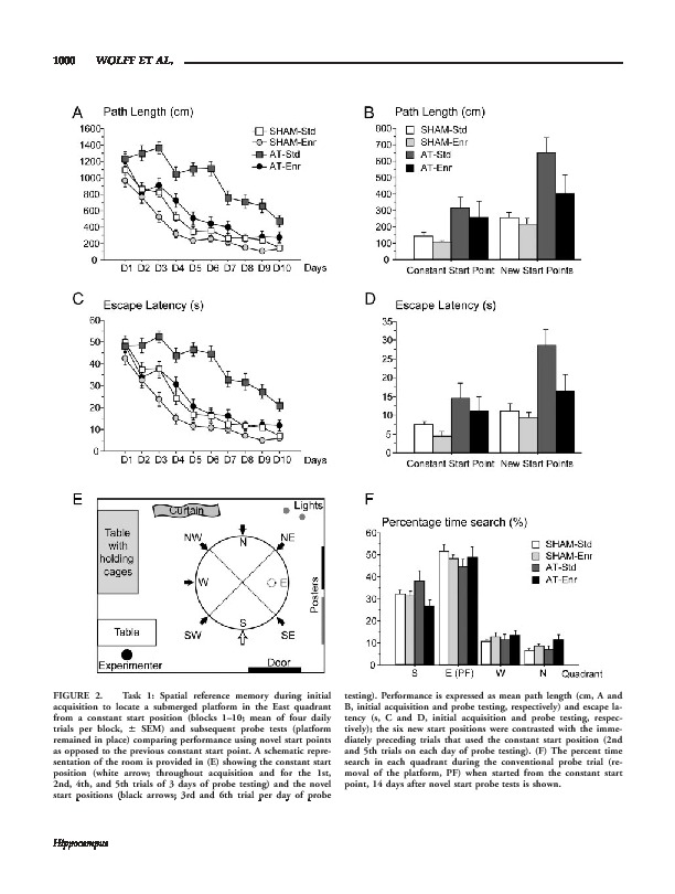 Download The extended hippocampal-diencephalic memory system: enriched housing promotes recovery of the flexible use of spatial representations after anterior thalamic lesions.